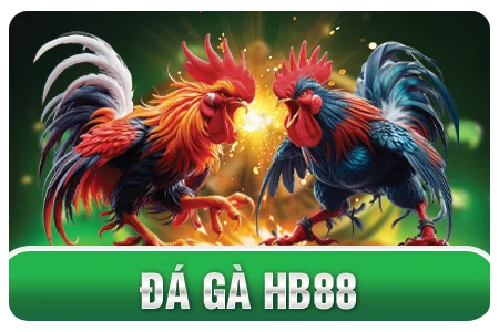 daga hb88